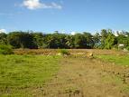 Ventes Immobili�res Terrains
