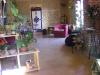 belle maison DROME des collines