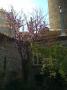Appartement centre historique dans un �crin de verdure